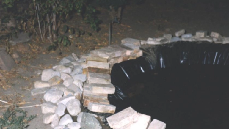 Ao cá koi - nơi phát hiện thi thể Pamela Mead. Ảnh: Abc4