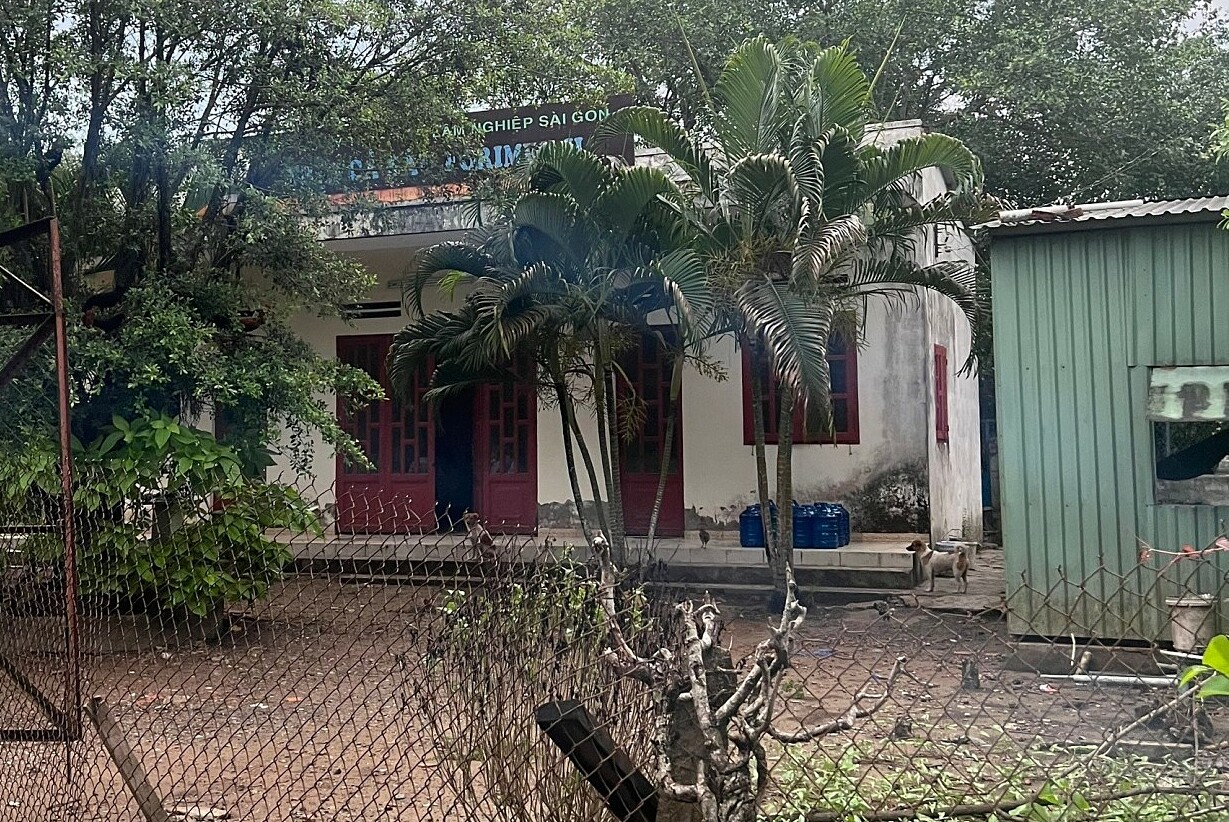 Khu đất đang do Công ty Cổ phần Lâm nghiệp Sài Gòn tạm quản lý. Ảnh: Hạ Giang