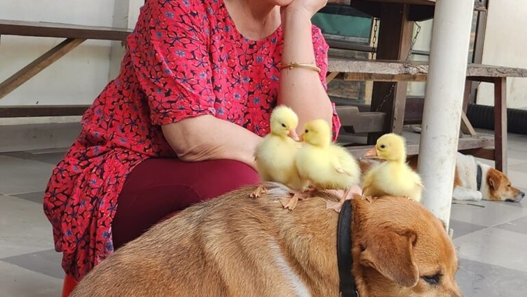 Ánh Tuyết tìm thấy nhiều niềm vui ở tuổi già bên các con vật.