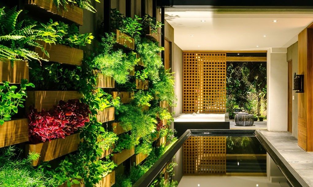 Vườn treo nằm theo phương thẳng đứng trên một bức tường, sử dụng phương pháp trồng thủy canh hoặc thổ canh. Ảnh: Inhabitat