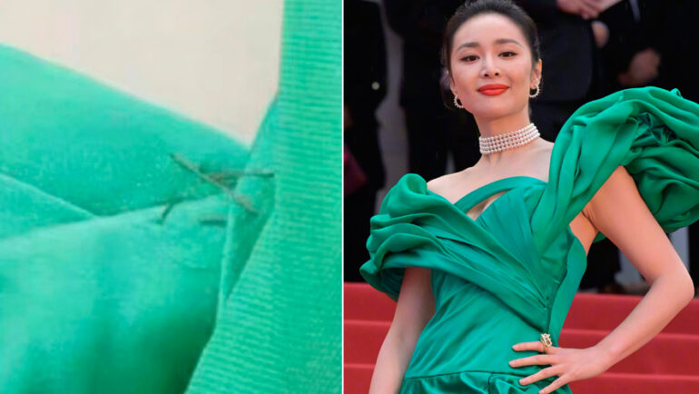 Cao Diệp tự may phần dưới nách bị bung chỉ. Ảnh: Sina