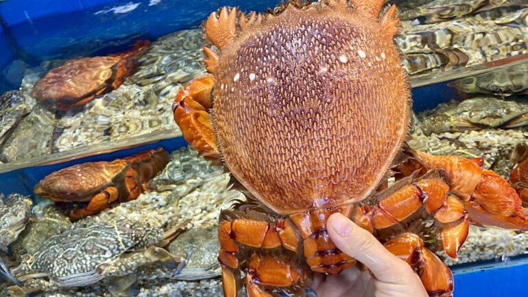 Cua huỳnh đế có trọng lượng  gần 2kg tại cửa hàng hải sản trên đường Phan Văn Trị. Ảnh: HS Lam Dương