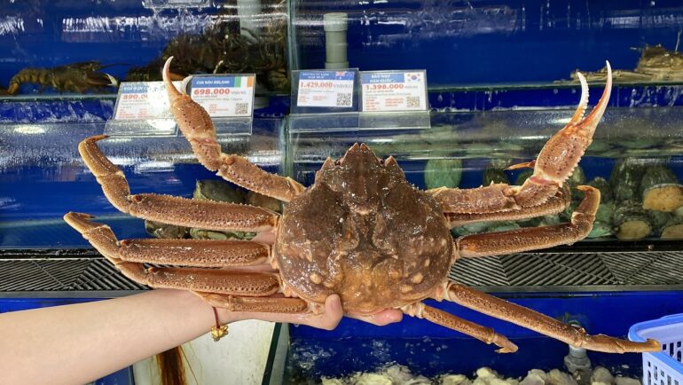 Cua tuyết sống được bán tại cửa hàng hải sản ở TP HCM. Ảnh: Thi Hà