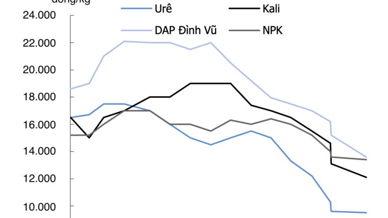 Nguồn: KIS Việt Nam