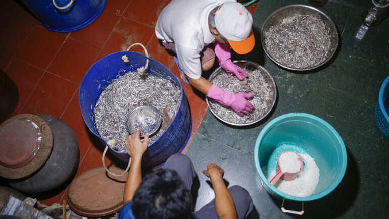 Ngư dân Huỳnh Văn Mười trộn muối làm mắm cá cơm trong đêm, ngay khi mẻ cá tươi về bờ. Ảnh: Nguyễn Đông