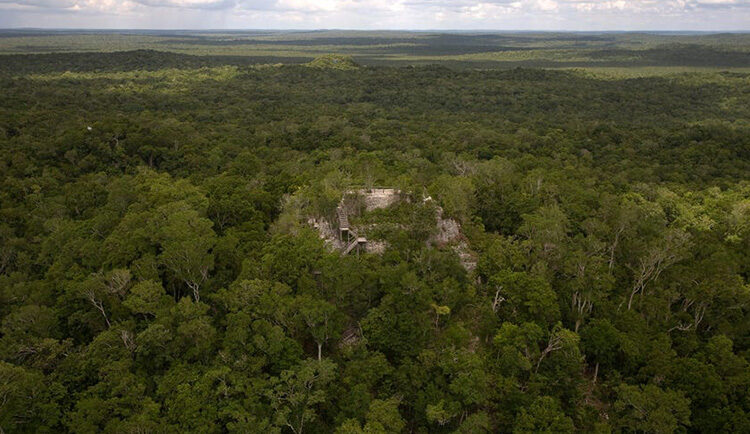 Một ngôi đền Maya tại địa điểm khảo cổ el Mirador trong khu rừng ở Guatemala. Ảnh: Reuters/Daniel Leclair