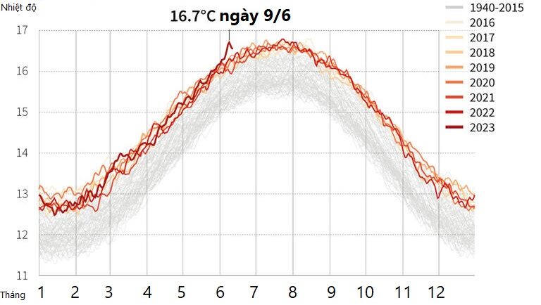 Biểu đồ nhiệt độ trung bình toàn cầu theo ngày qua các năm. Đồ họa: AFP