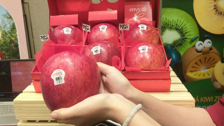 Táo Envy New Zealand được trưng bày tại buổi giới thiệu sản phẩm ở TP HCM. Ảnh: Thi Hà
