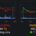 VN-Index chốt phiên 23/8 giảm gần 8 điểm. Ảnh: VNDirect