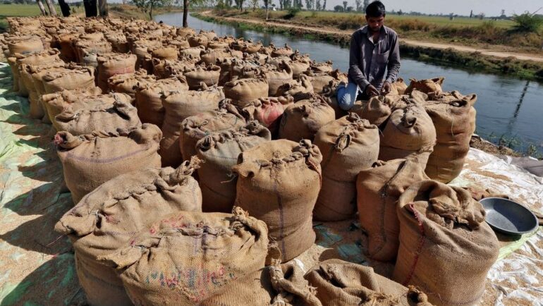 Công nhân đóng các bao tải gạo tại Ahmedabad (Ấn Độ). Ảnh: Reuters