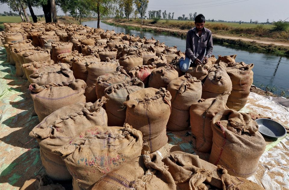 Công nhân đóng các bao tải gạo tại Ahmedabad (Ấn Độ). Ảnh: Reuters