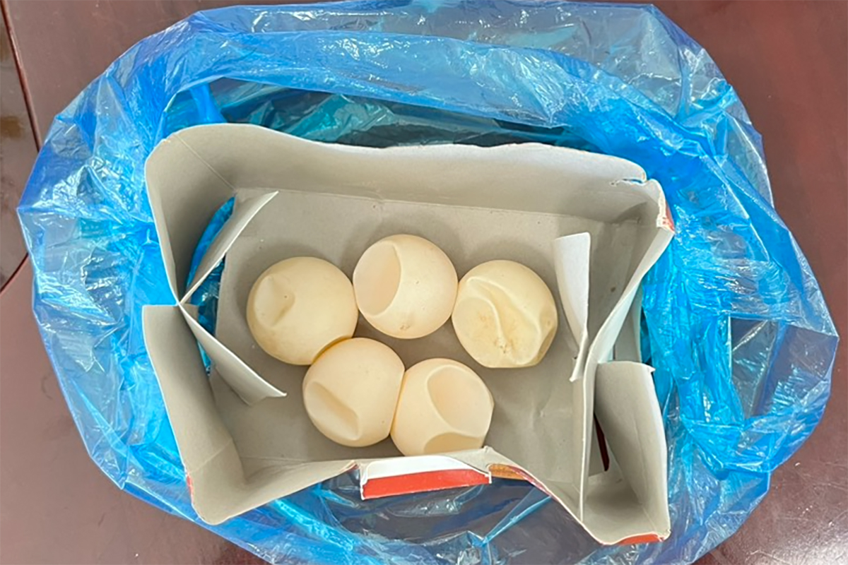 Số trứng được phát hiện trong hành lý của người phụ nữ. Ảnh:Hắc Minh