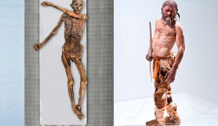 Xác ướp của Người băng Ötzi và hình ảnh phục dựng trước đây. Ảnh: Ancient Origins