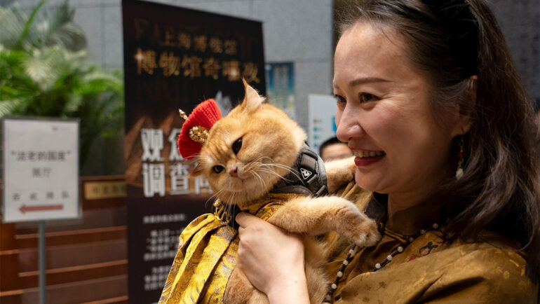 Con mèo vàng tên là Trump cùng chủ tại triển lãm ở Bảo tàng Thượng Hải ngày 27/7. Ảnh: AFP