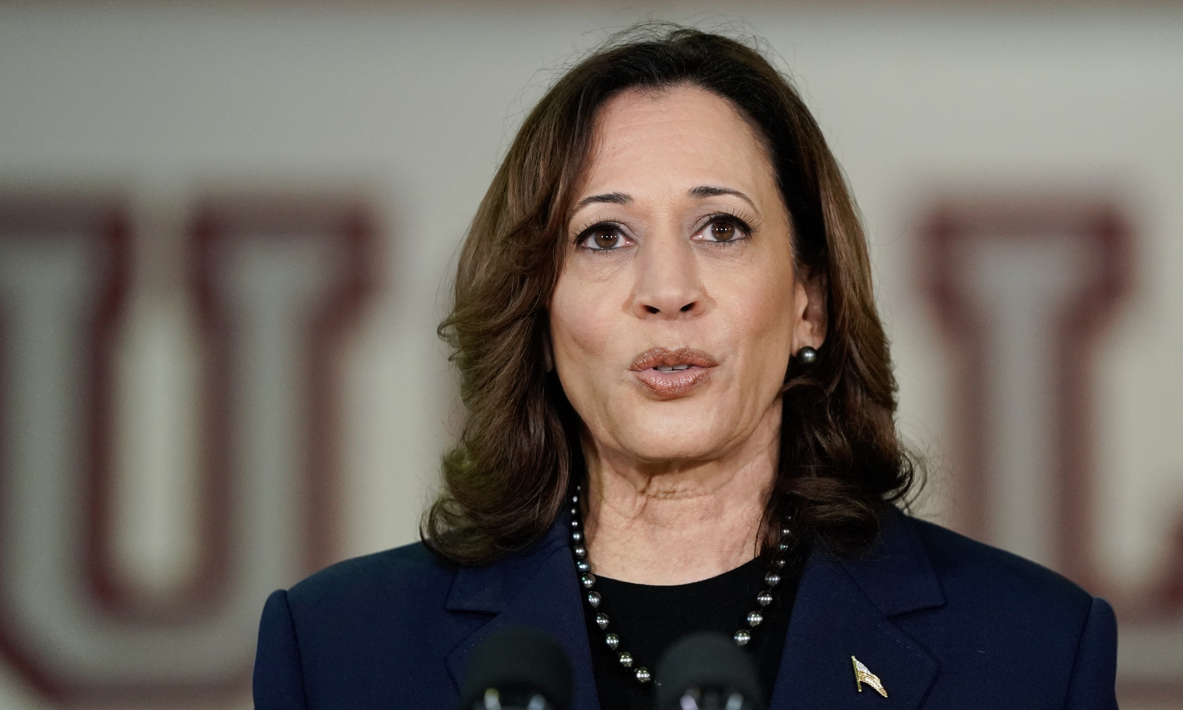 Phó tổng thống Mỹ Kamala Harris tại Parkland, Florida, hôm 23/3. Ảnh: AFP