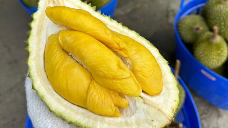 Musang King ở nhà vườn Cần Thơ. Ảnh: Hội mua bán sầu riêng