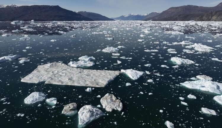 Những núi băng trôi dọc vịnh Scoresby Sound ở Đông Greenland. Ảnh: Olivier Marin/AFP