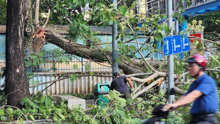 Nhánh cây gãy dài gần chục mét chắn ngang đường Võ Văn Tần, quận 3. Ảnh: Đình Văn