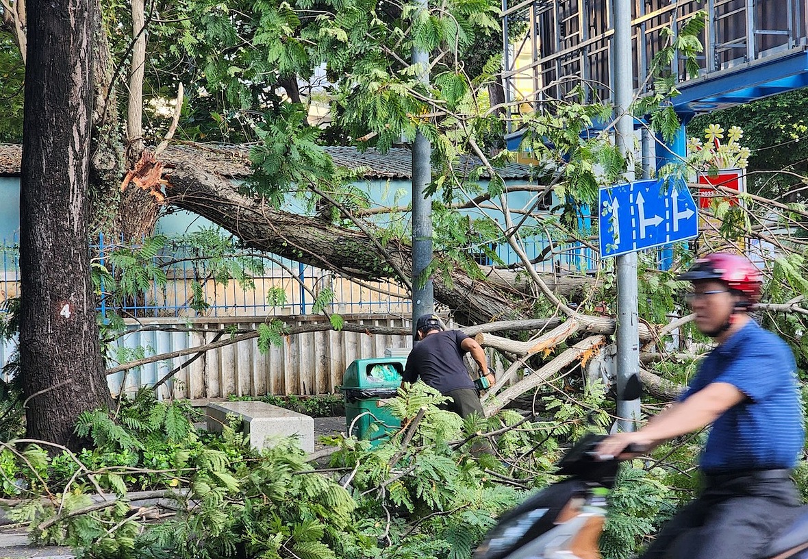 Nhánh cây gãy dài gần chục mét chắn ngang đường Võ Văn Tần, quận 3. Ảnh: Đình Văn