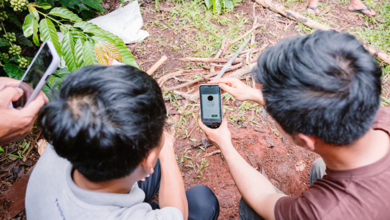 Nhóm sử sụng App đo dinh dưỡng cây trồng. Ảnh: Nhóm nghiên cứu