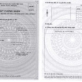 Mẫu giấy chứng nhận quyền sử dụng đất từ 1/8.