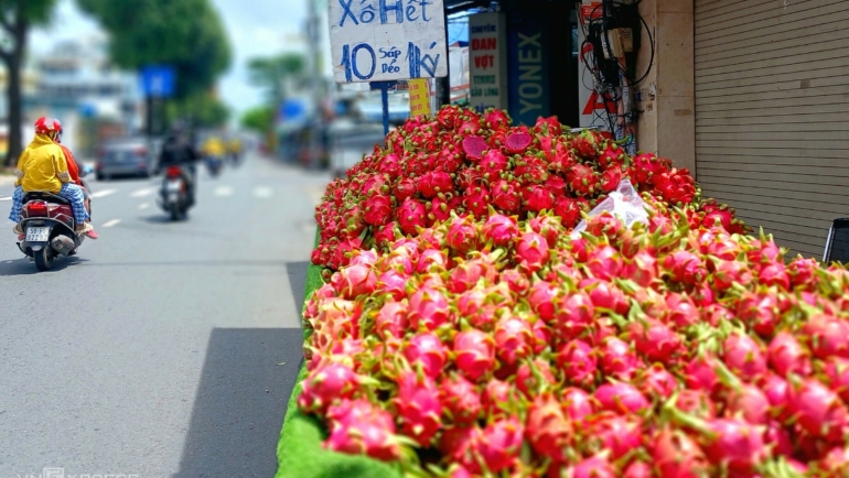 Thanh long bán trên đường Phạm Ngũ Lão (quận Gò Vấp). Ảnh: Hồng Châu