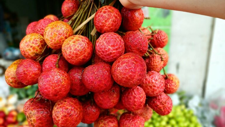 Vải thiều tại cửa hàng trái cây trên đường Lê Đức Thọ (Gò Vấp) hồi tháng 5. Ảnh: Thi Hà