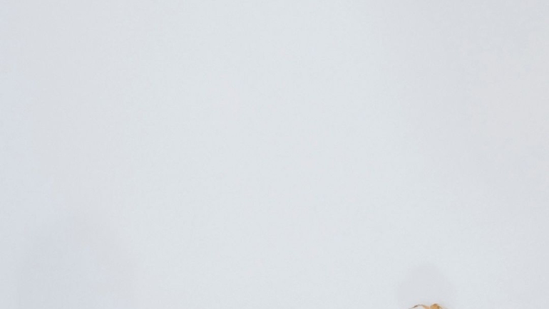 Pilaf trên ảnh bìa Dogue. Ảnh: Vogue