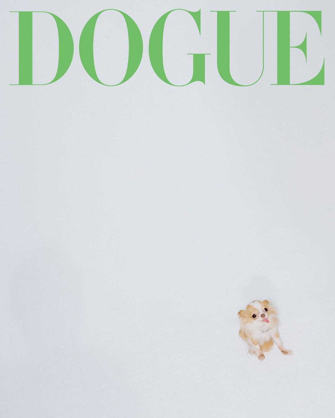 Pilaf trên ảnh bìa Dogue. Ảnh: Vogue