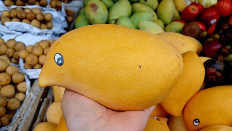 Giống xoài mỏ qụa được bàn đầy các cửa hàng và chợ truyền thống. Ảnh: Thi Hà