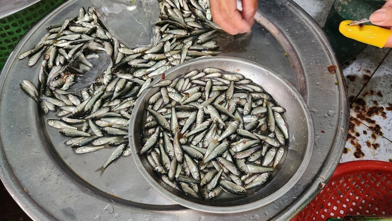 Cá linh non, tiểu thương chợ TP Cao Lãnh làm sẵn có giá 250.000 đồng mỗi kg. Ảnh: Ngọc Tài