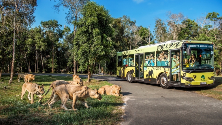 Mô hình nhốt người, thả thú tại vườn thú Vinpearl Safari Phú Quốc. Ảnh: Vinpearl