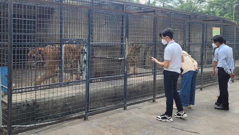 Cơ quan chức năng thị sát vườn nuôi cọp sáng 2/10. Ảnh: Phước Tuấn