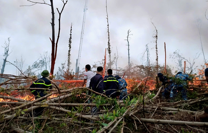 Vụ cháy rừng chiều 13/10 ở Hạ Long khiến 2h rừng bị thiêu rụi. Ảnh: Việt Trung